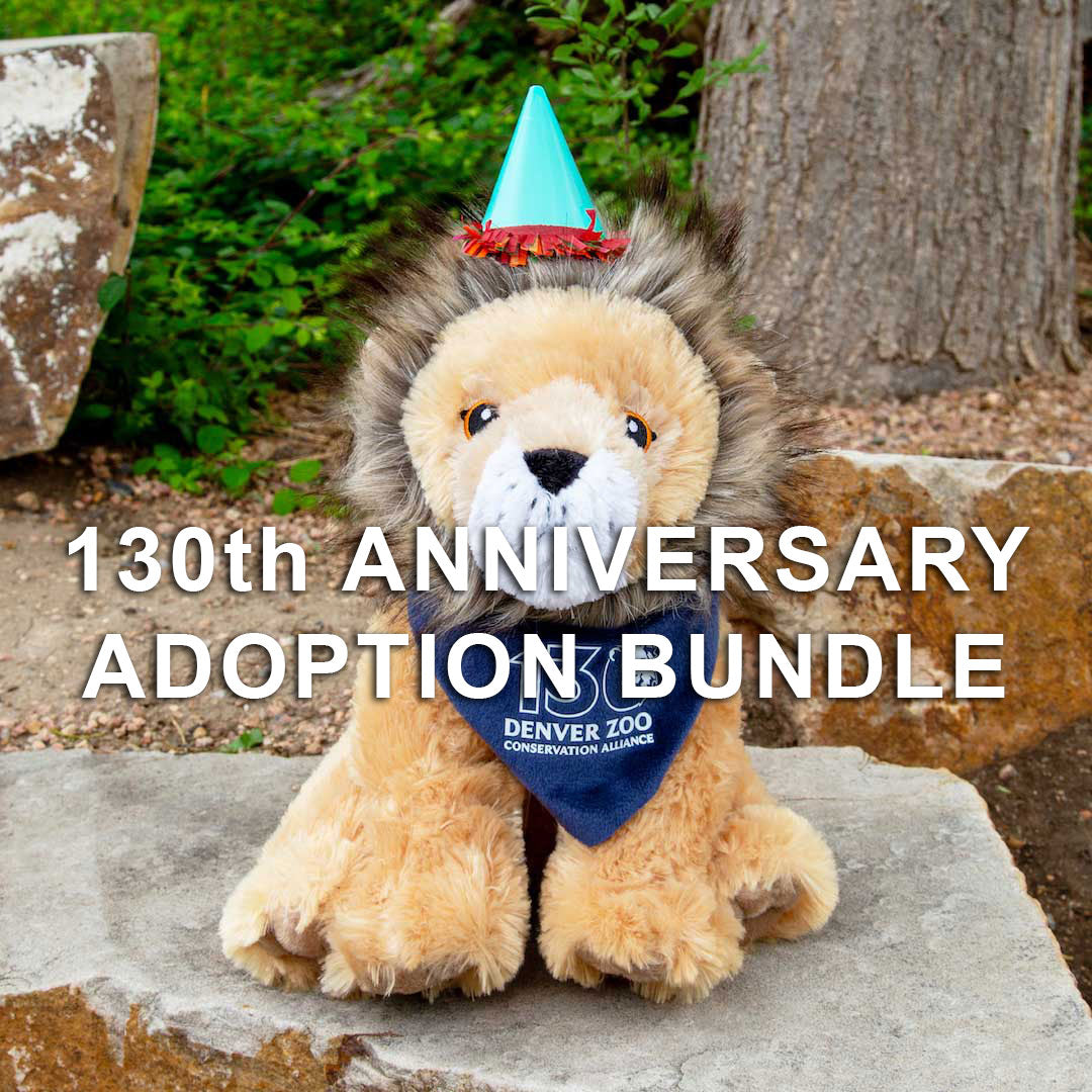 A plush lion in a blue party hat and Denver Zoo bandana sits on a rock. Overlay text: "130th Anniversary Adoption Bundle—celebrate animal care by supporting with a DZCA plush adoption.
