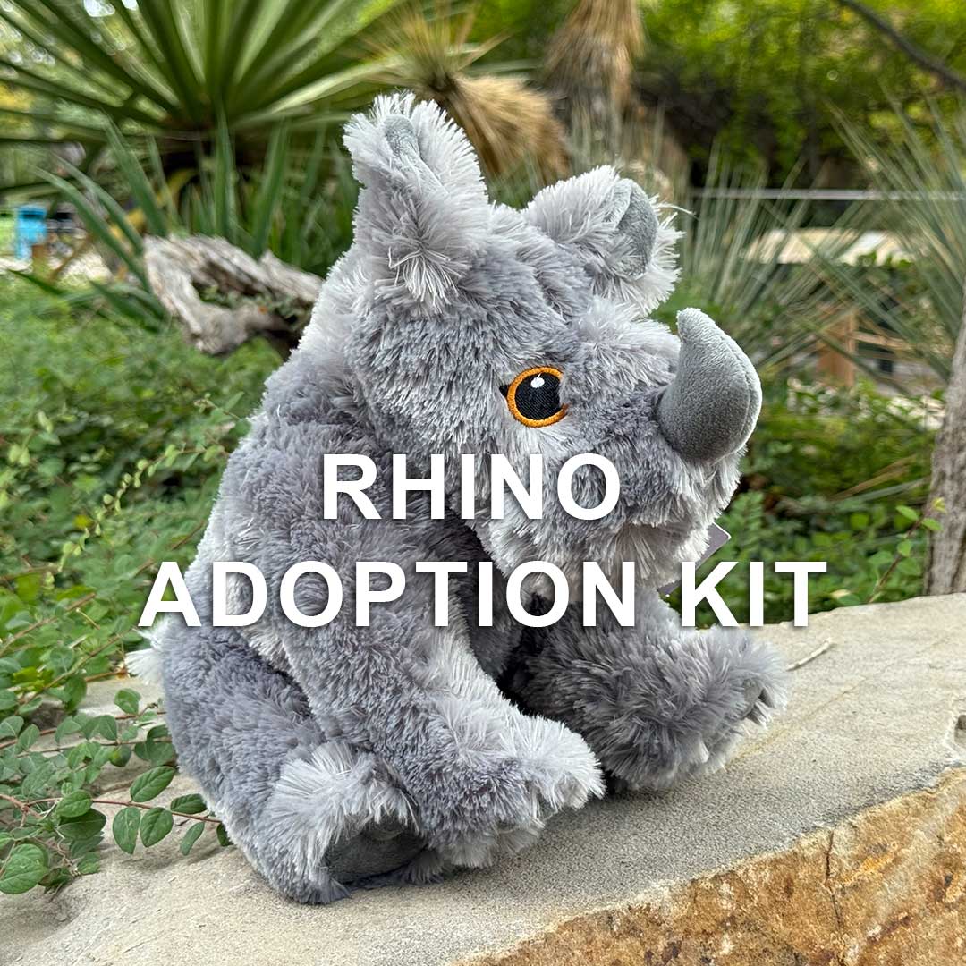 A plush rhino toy sits on a rock amid greenery, with "Rhino Adoption Kit" in bold white letters—a perfect gift for anyone who wants to support and learn about rhino conservation.
