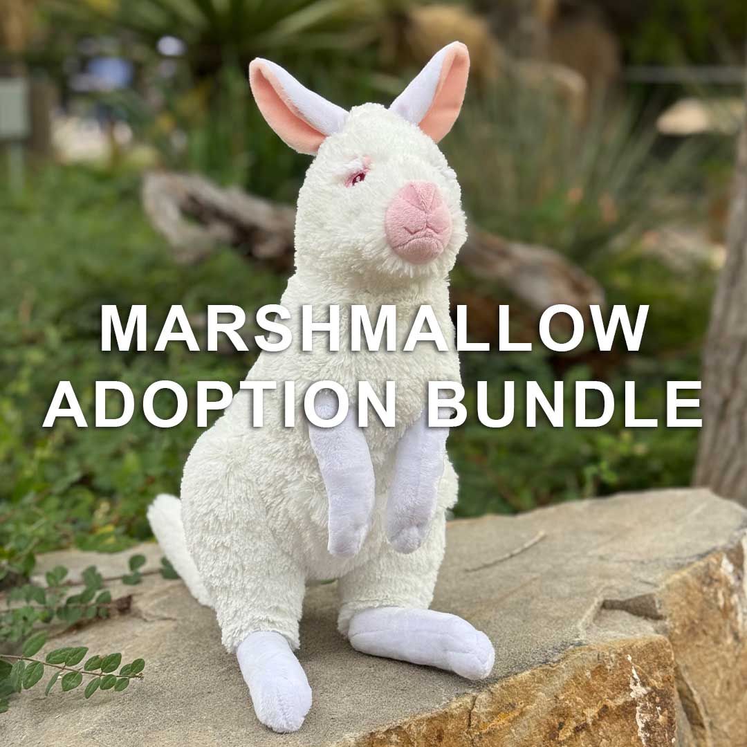 A cute white plush wallaby with a pink nose and ears sits among greenery on a rock. Text reads: Marshmallow Adoption Bundle—ideal for animal adoption fans.