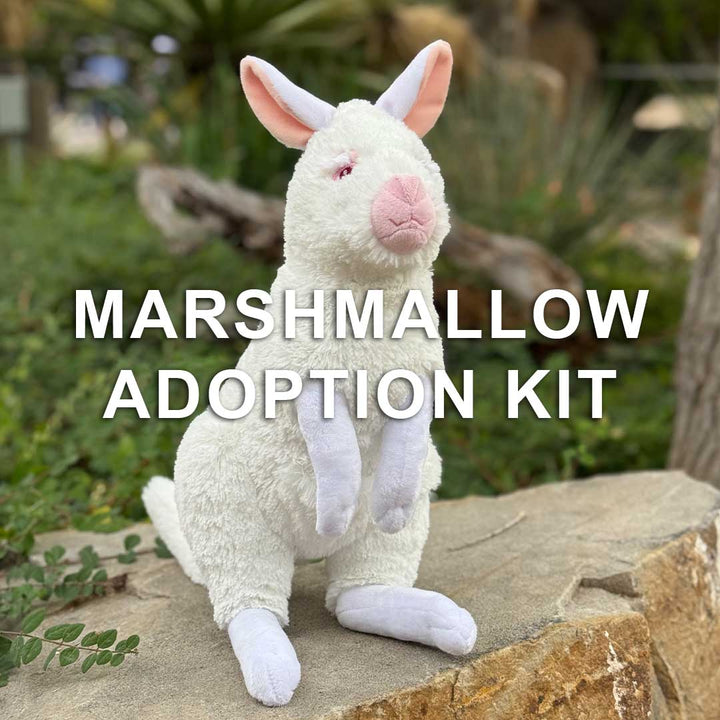 A white plush kangaroo toy with pink ears, nose, and paws sits upright on a stone outdoors. Across the image, bold white letters spell out Marshmallow Adoption Kit, inspired by the Down Under Zoo Denver animal adoption kit.