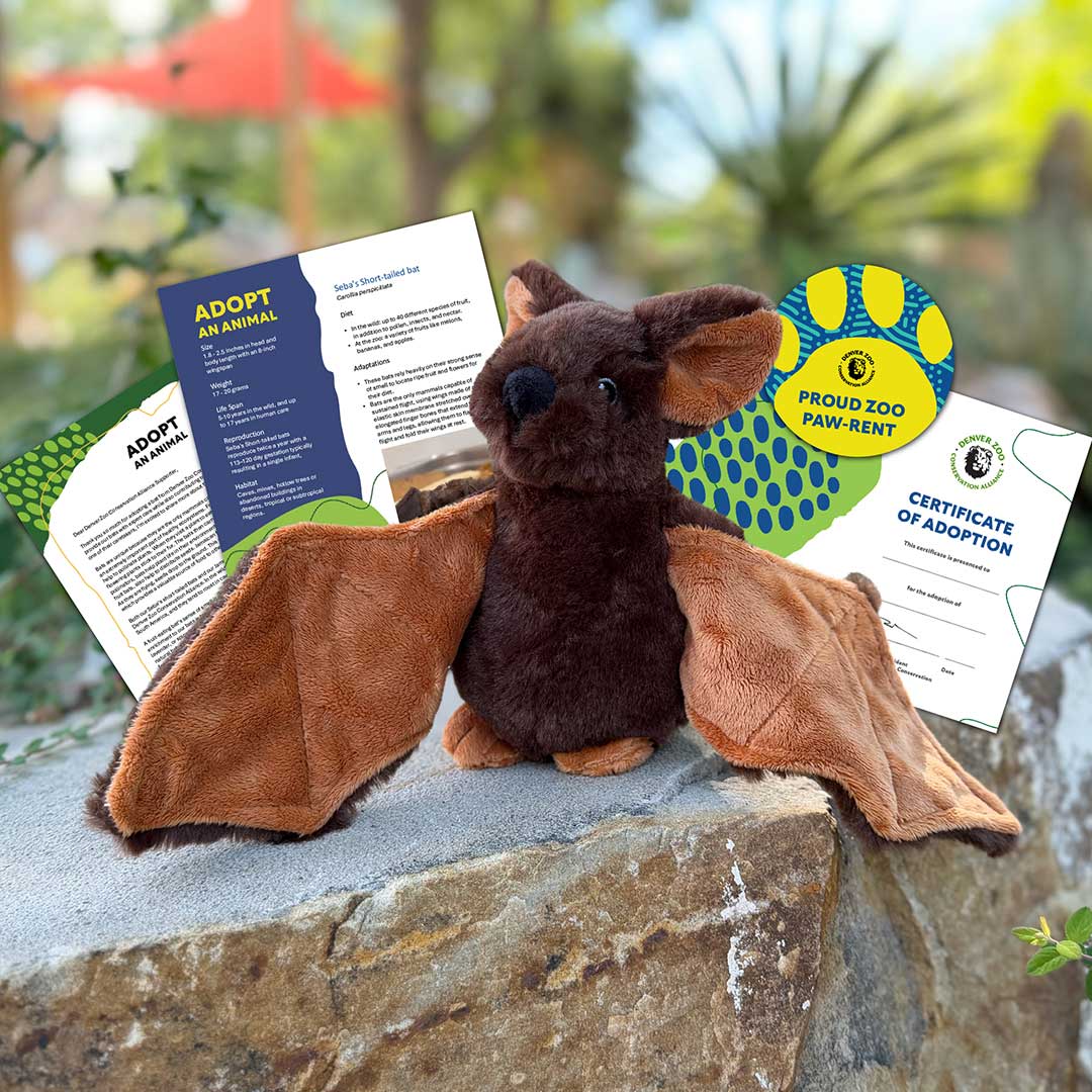A Bat Adoption Bundle sits on a rock, surrounded by animal adoption papers, a circular Proud Zoo Paw-rent badge, and an official bat adoption certificate. Blurred greenery and trees in the background highlight the importance of wildlife conservation.