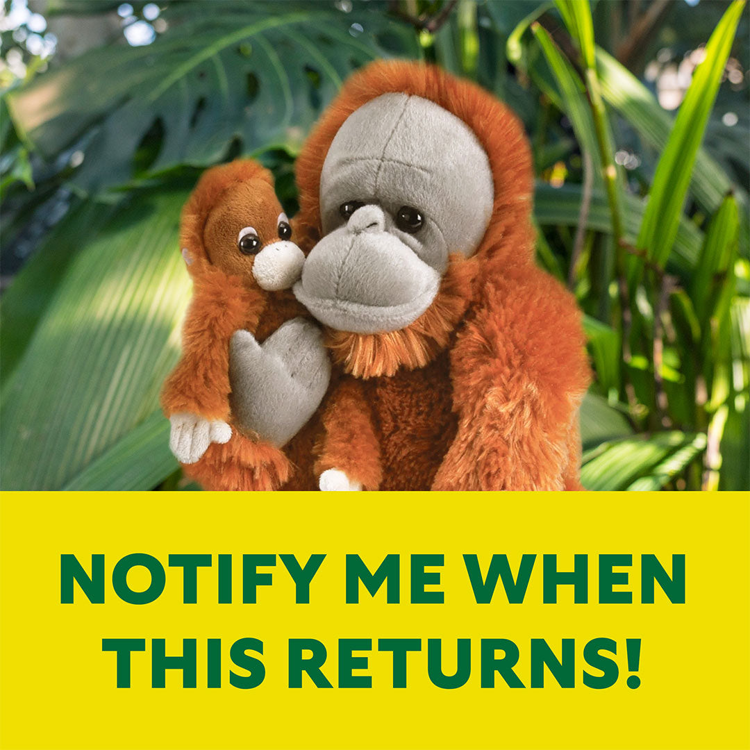 A plush Orangutan + Baby Adoption Kit with green leaves in the background and bold green "NOTIFY ME WHEN THIS RETURNS!" text on a yellow banner—ideal for fans of Sumatran orangutans or animal adoption kits.