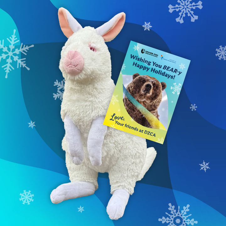 A white albino wallaby plush from the Marshmallow Adoption Kit holding a holiday greeting card featuring a brown bear and the text Wishing You BEAR-y Happy Holidays!.