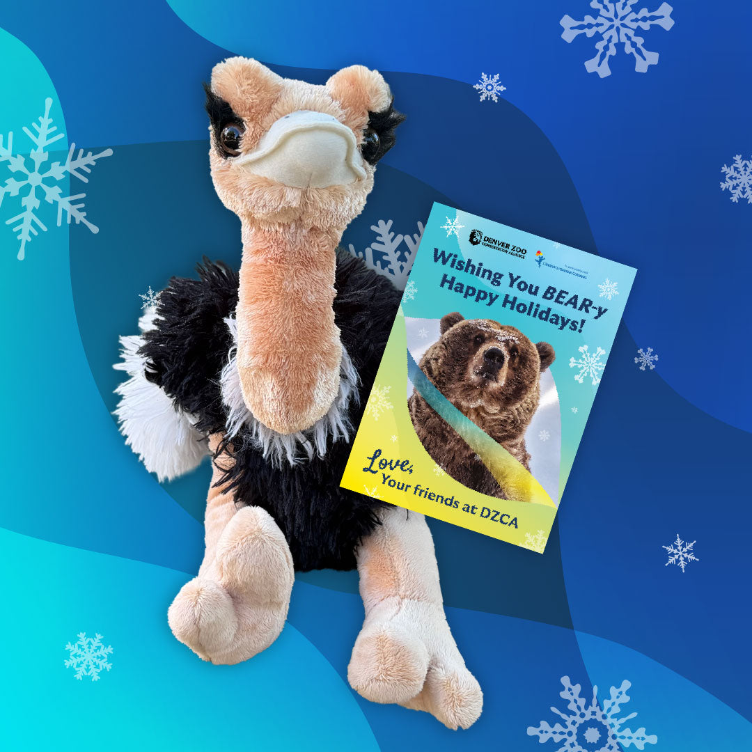 An Ostrich Adoption Bundle featuring an ostrich plush toy held next to a holiday greeting card with a brown bear.