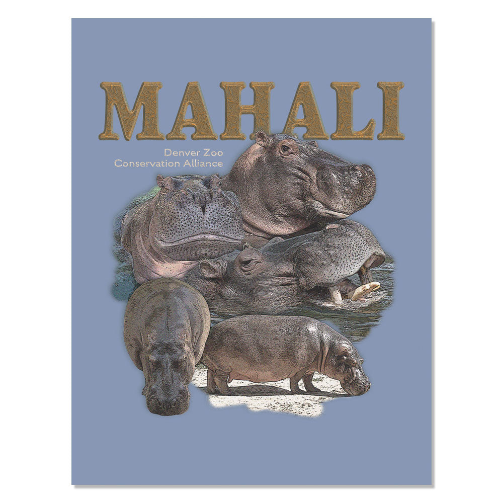 Poster with "MAHALI" and "Denver Zoo Conservation Alliance" over a blue collage of hippos, celebrating wildlife conservation and featuring the DZCA Mahali Hippo Magnet.