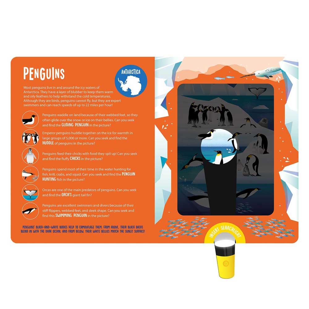 Magic Searchlight - Animals is an illustrated educational page about penguins, featuring fun facts, drawings, an Antarctica map, and a seek-and-find game that uses a magic flashlight tool to reveal hidden penguins in the icy scene on the right side.