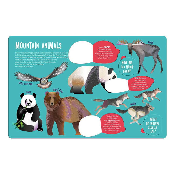 The "Magic Searchlight - Animals" book features mountain animals—owl, panda, bear, moose, goat, and wolves—with fun facts on a blue background. Two cutout holes let kids lift the flaps and discover more surprises.