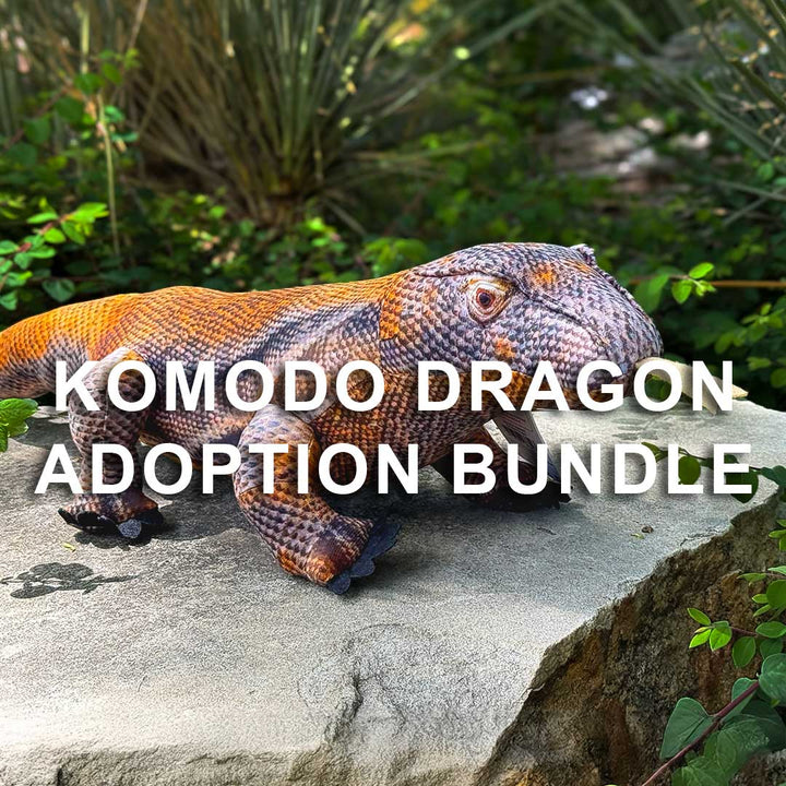 A Komodo dragon plush sits on a stone amid green plants. Bold white text reads: Komodo Dragon Adoption Bundle, perfect for anyone interested in the Komodo Dragon Adoption Bundle.