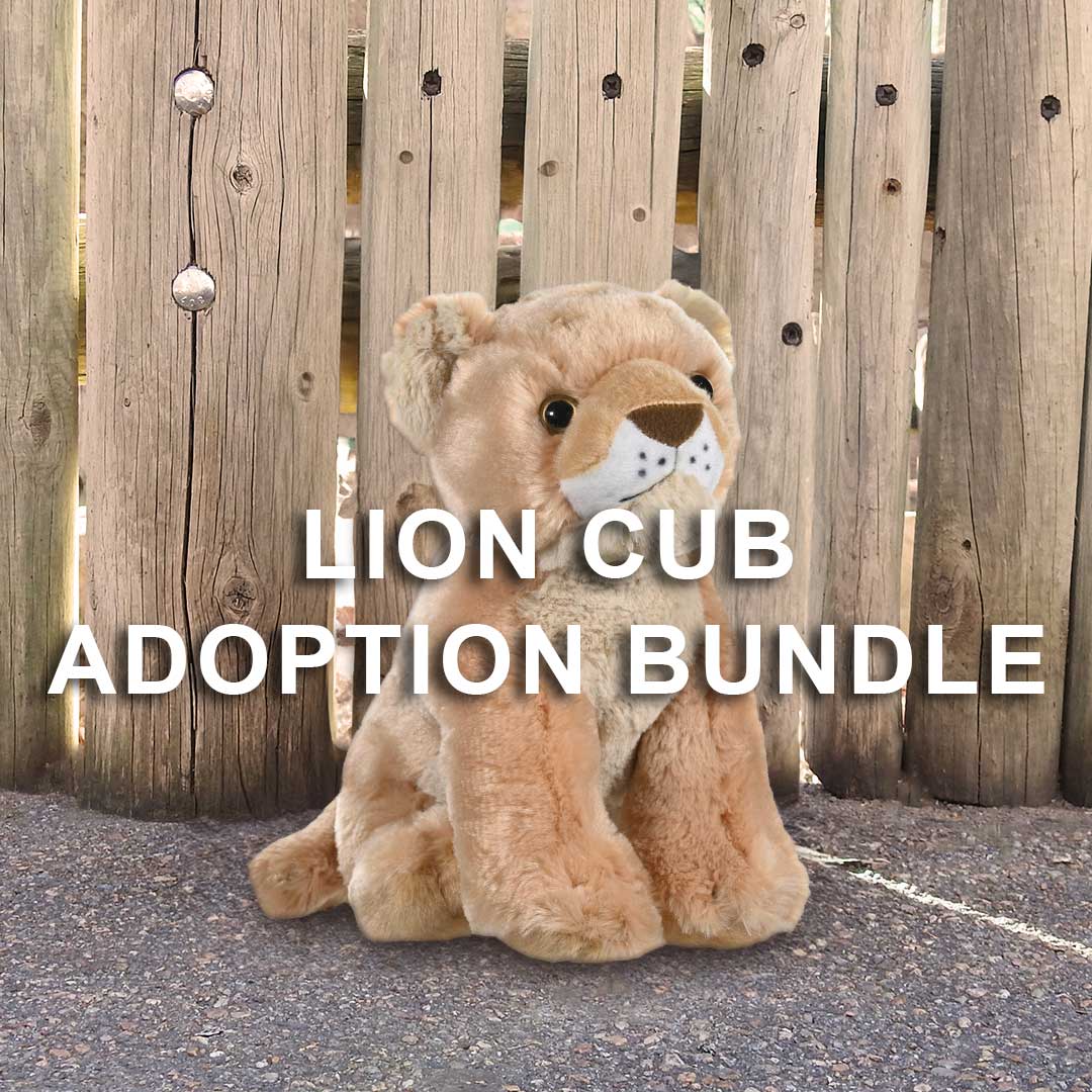 A plush lion cub toy sits on pavement by a wooden fence with "Lion Cub Adoption Bundle" across the center—perfect for animal lovers and Predator Ridge guests.