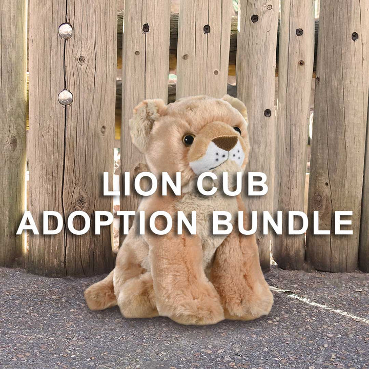 A plush lion cub toy sits on pavement by a wooden fence with "Lion Cub Adoption Bundle" across the center—perfect for animal lovers and Predator Ridge guests.