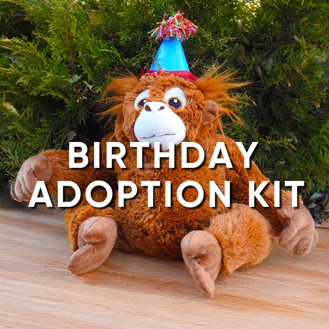 A plush orangutan in a blue birthday hat sits on wood with greenery behind. The image displays "Birthday Adoption Kit"—the perfect zoo birthday gift for animal lovers ready to symbolically adopt an animal.