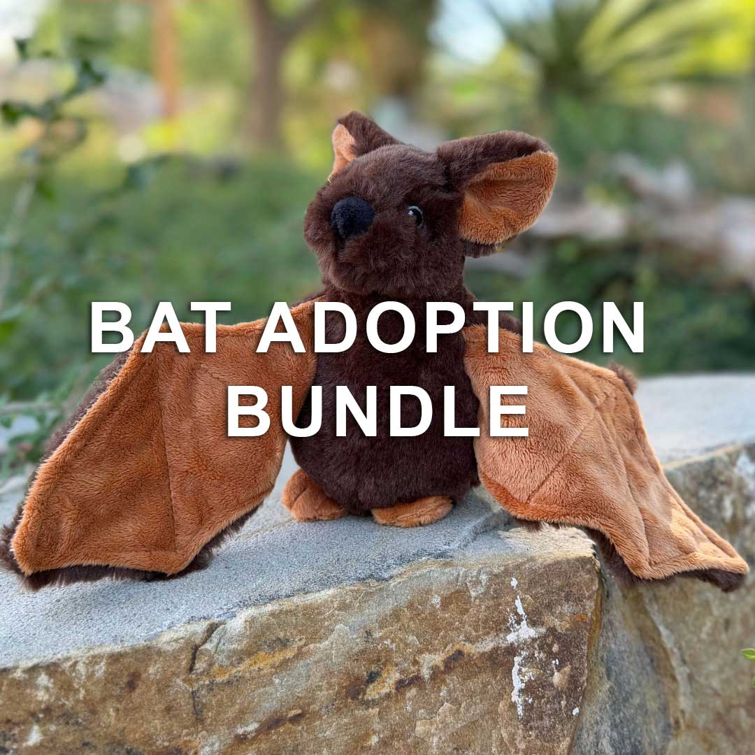 A Bat Adoption Bundle plush toy, featuring soft brown fur and outstretched wings, sits on a stone ledge outdoors. Text across the image displays, “Bat Adoption Bundle.” Green foliage serves as the backdrop for this unique product that supports bat conservation.