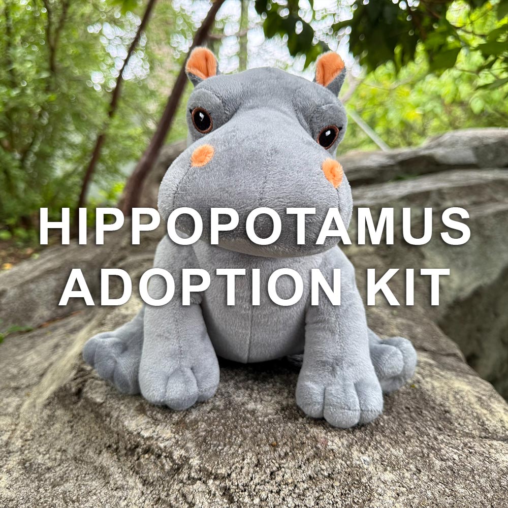 A plush hippopotamus sits on a rock outdoors with trees behind. The text "Hippopotamus Adoption Kit" appears, making this kit the perfect animal adoption gift for any plush hippo fan.
