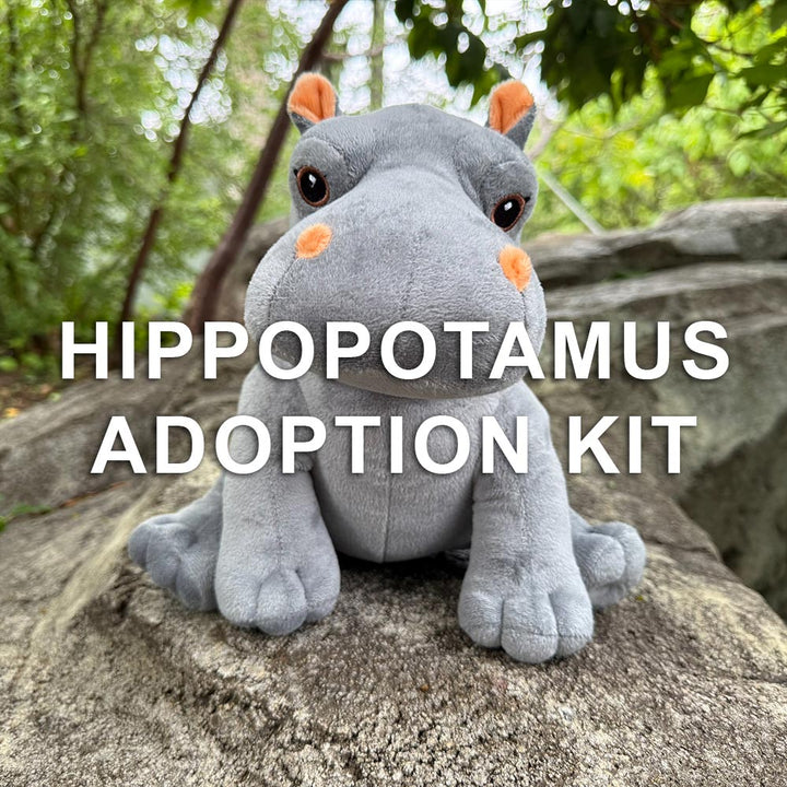 A plush hippopotamus sits on a rock outdoors with trees behind. The text "Hippopotamus Adoption Kit" appears, making this kit the perfect animal adoption gift for any plush hippo fan.