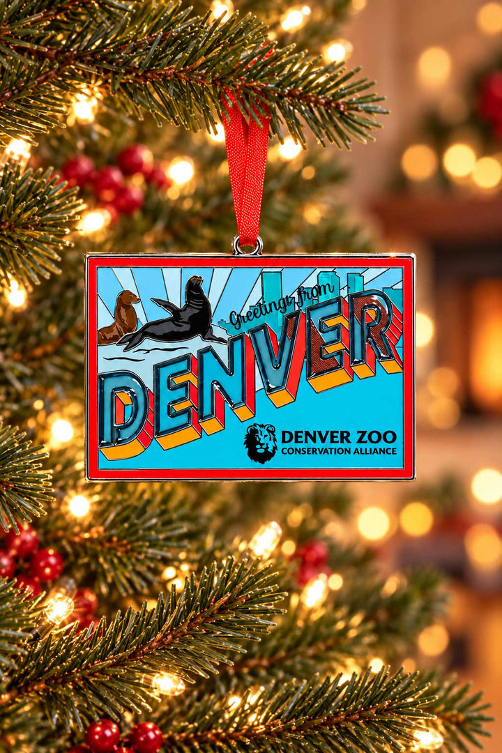 DZCA Sea Lions Greeting Stained Glass Ornament hanging on a Christmas tree, featuring a rectangular shape with two sea lions, the word DENVER in bold letters, and the Denver Zoo Conservation Alliance logo below.