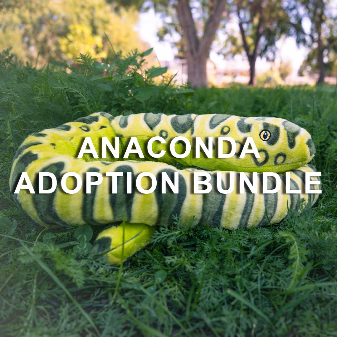 A plush Anaconda Adoption Bundle with green and yellow patterns rests on the grass outdoors. Overlaid text reads ANACONDA ADOPTION BUNDLE, making it a perfect gift for animal adoption fans and anaconda lovers.