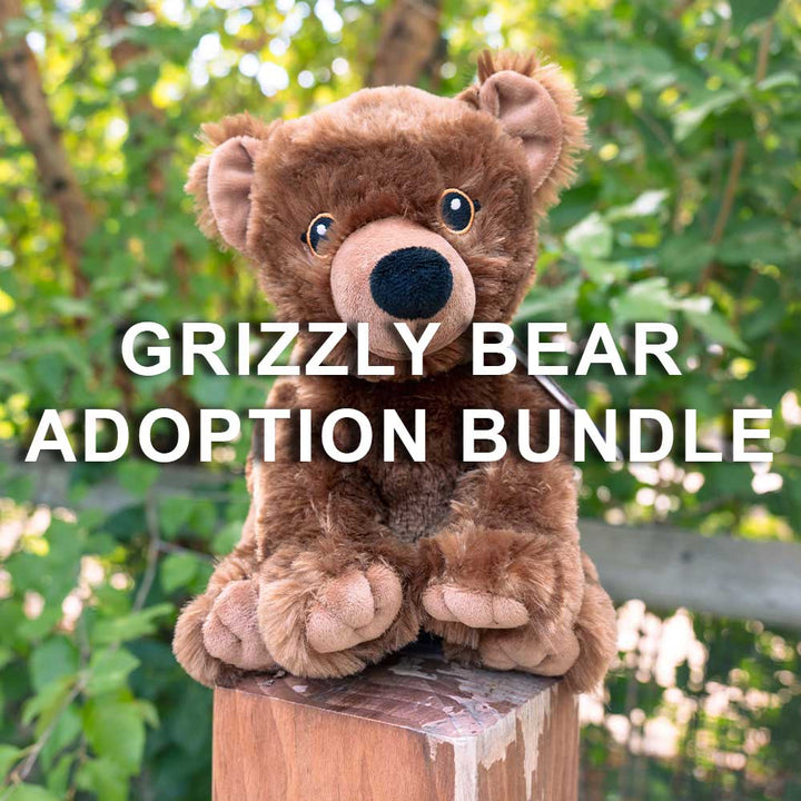 A Grizzly Bear plush sits on a wooden post surrounded by greenery. Text reads, "Grizzly Bear Adoption Bundle," inviting you to adopt a Grizzly Bear and help support wildlife conservation.