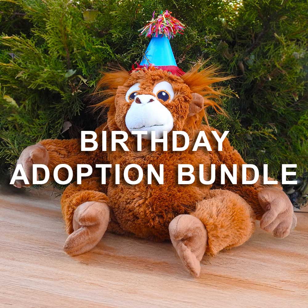 A plush orangutan in a blue birthday hat sits on wooden planks before green foliage. Large white text reads, Birthday Adoption Bundle—Adopt an Animal and celebrate in style!.