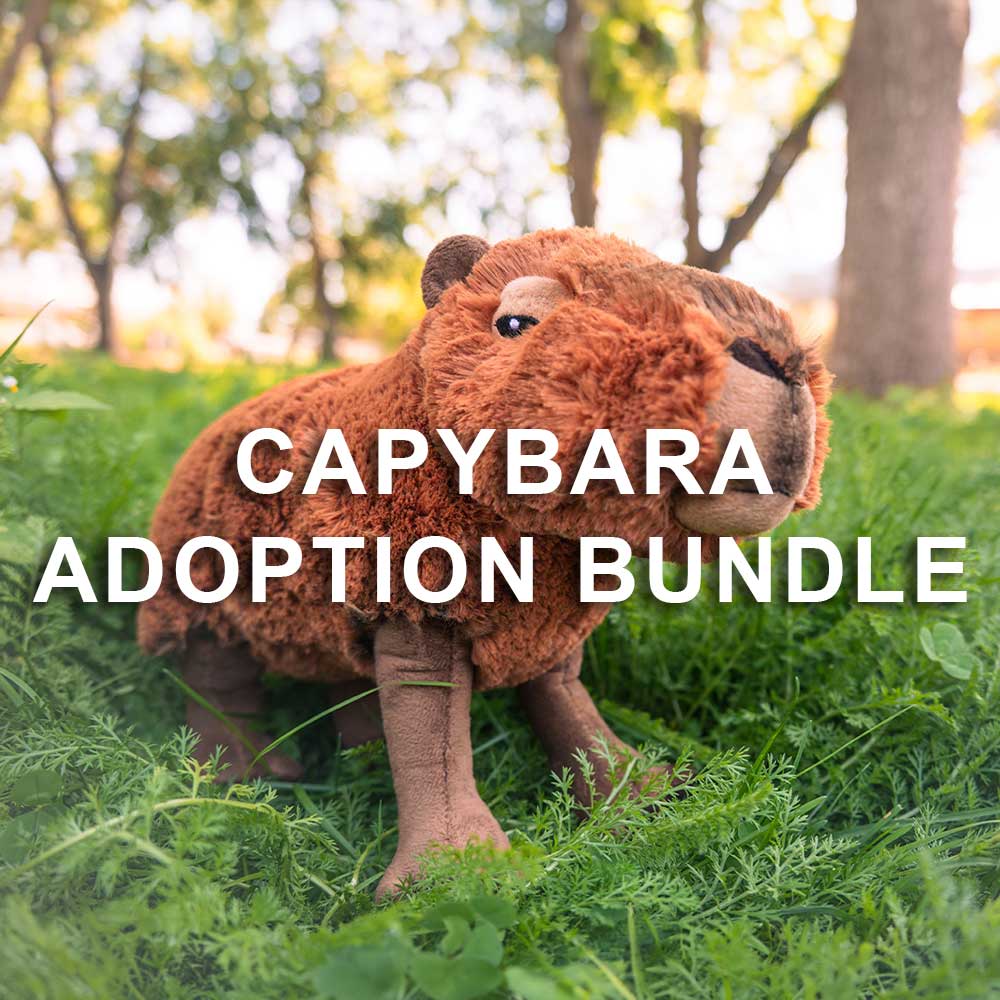 A plush capybara toy sits on grass amid sunlight and trees. Text reads "Capybara Adoption Bundle," supporting animal conservation with each Capybara Adoption Bundle purchase.