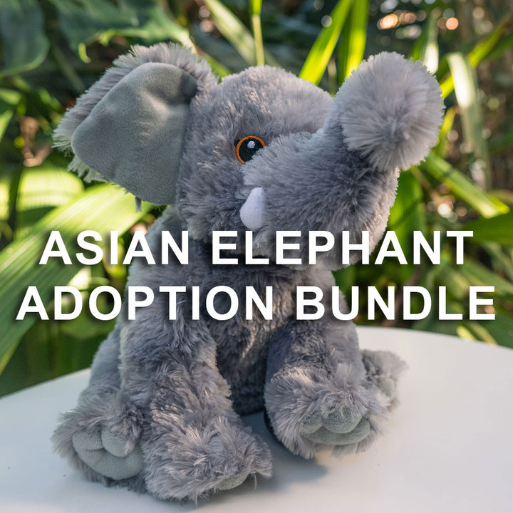 A plush gray elephant toy sits on a white surface with green plants in the background. Overlaid text reads, Asian Elephant Adoption Bundle, supporting Denver Zoo Conservation Alliance and endangered elephants.