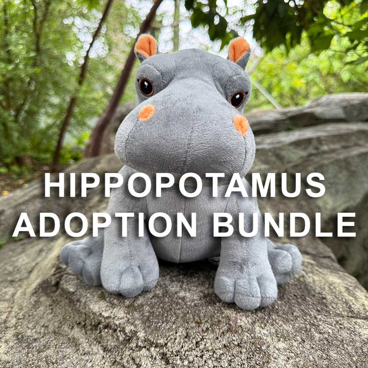 A gray plush hippopotamus sits outdoors on a rock with green trees behind it. Overlaid white text says, Hippopotamus Adoption Bundle—a perfect zoo animal gift.