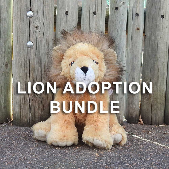 A plush lion sits on the ground in front of a wooden fence with "Lion Adoption Bundle" in bold white letters, highlighting the Lion Adoption Bundle at Denver Zoo.