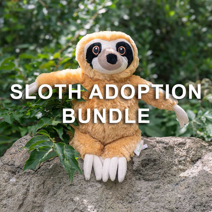 A plush sloth toy sits on a rock amidst green foliage, with "Sloth Adoption Bundle" in bold white text—ideal for sloth fans or anyone who enjoys bringing zoo animal adoption adventures home.