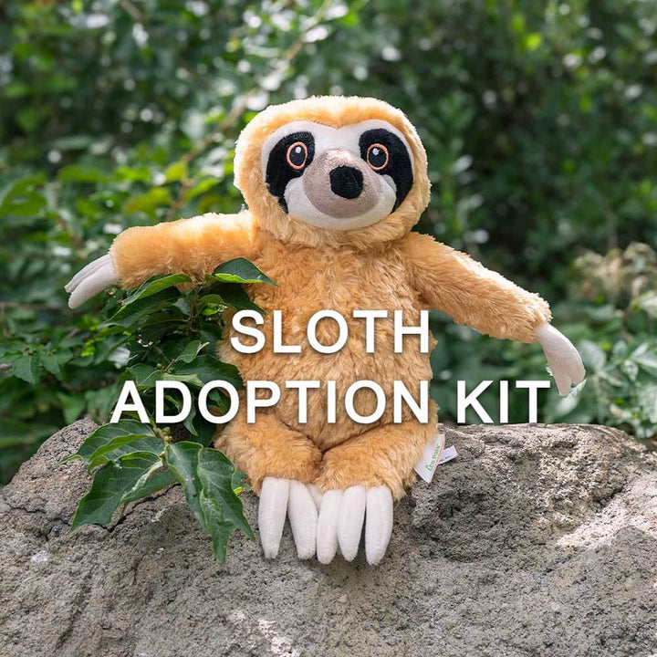 A Sloth Adoption Kit plush toy sits outdoors on a rock amid greenery, showcasing the Sloth Adoption Kit—ideal for animal conservation enthusiasts.