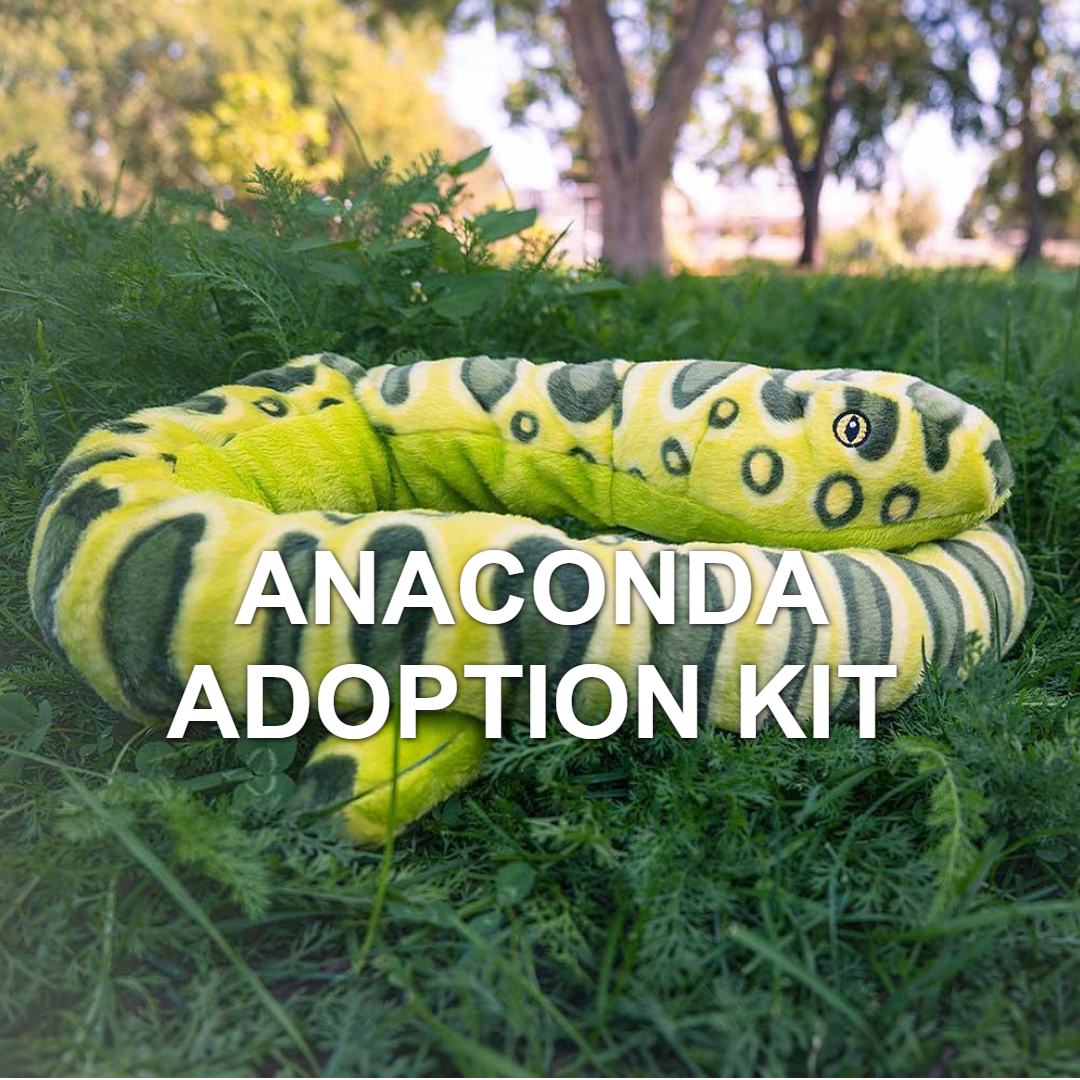 A soft green anaconda plush with yellow and green spots rests on grass outdoors, with "Anaconda Adoption Kit" written over the image. Trees in the blurred background enhance this tropical snake's appeal.