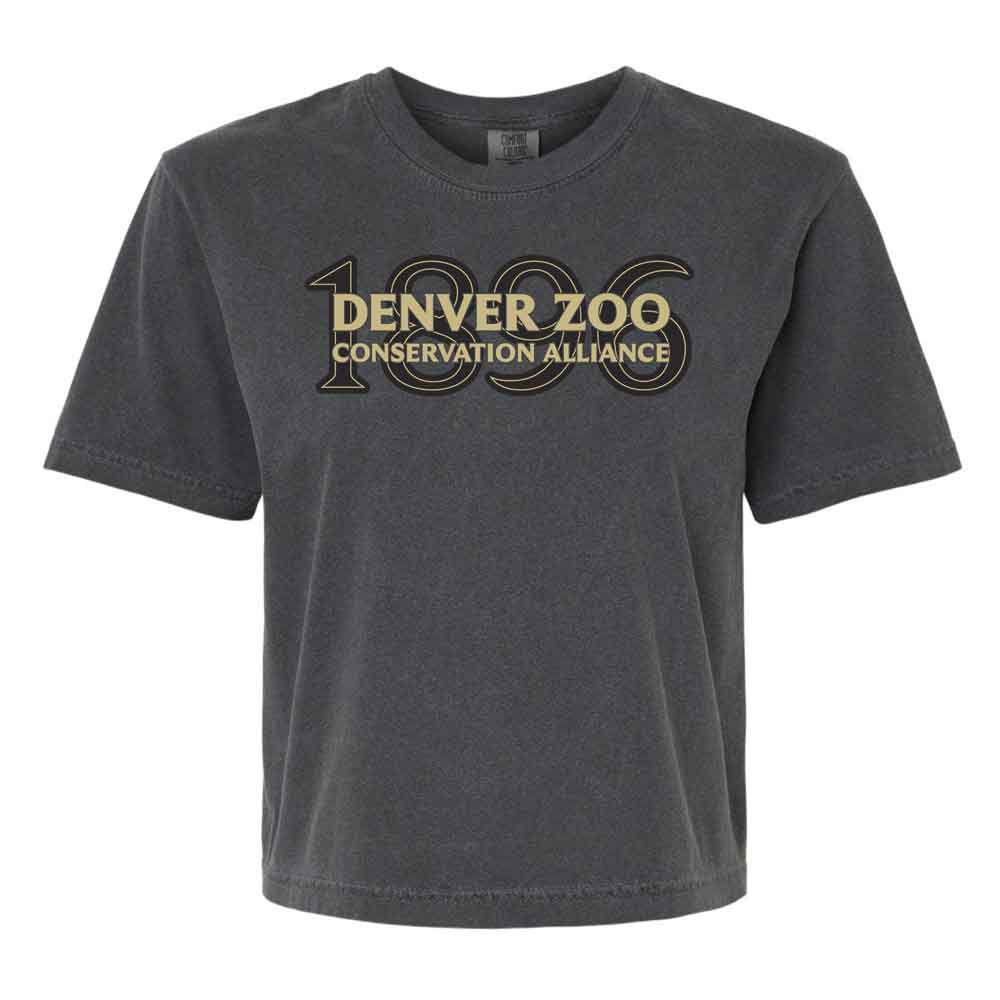The DZCA 1896 Women's Cropped T-Shirt is a dark gray boxy tee with "1896 Denver Zoo Conservation Alliance" printed in bold gold and black on the front.