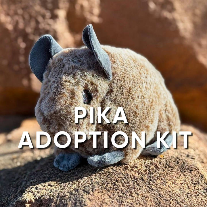 A gray-eared, gray-footed plush pika sits on a rock with "Pika Adoption Kit" above, set against a blurred rocky outdoor background—perfect for animal adoption fans.