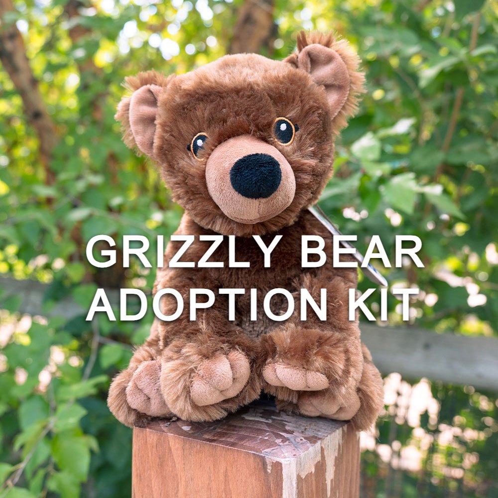 A plush grizzly bear toy sits outdoors on a wooden post amid green foliage. The center displays "Grizzly Bear Adoption Kit," supporting DZCA conservation.