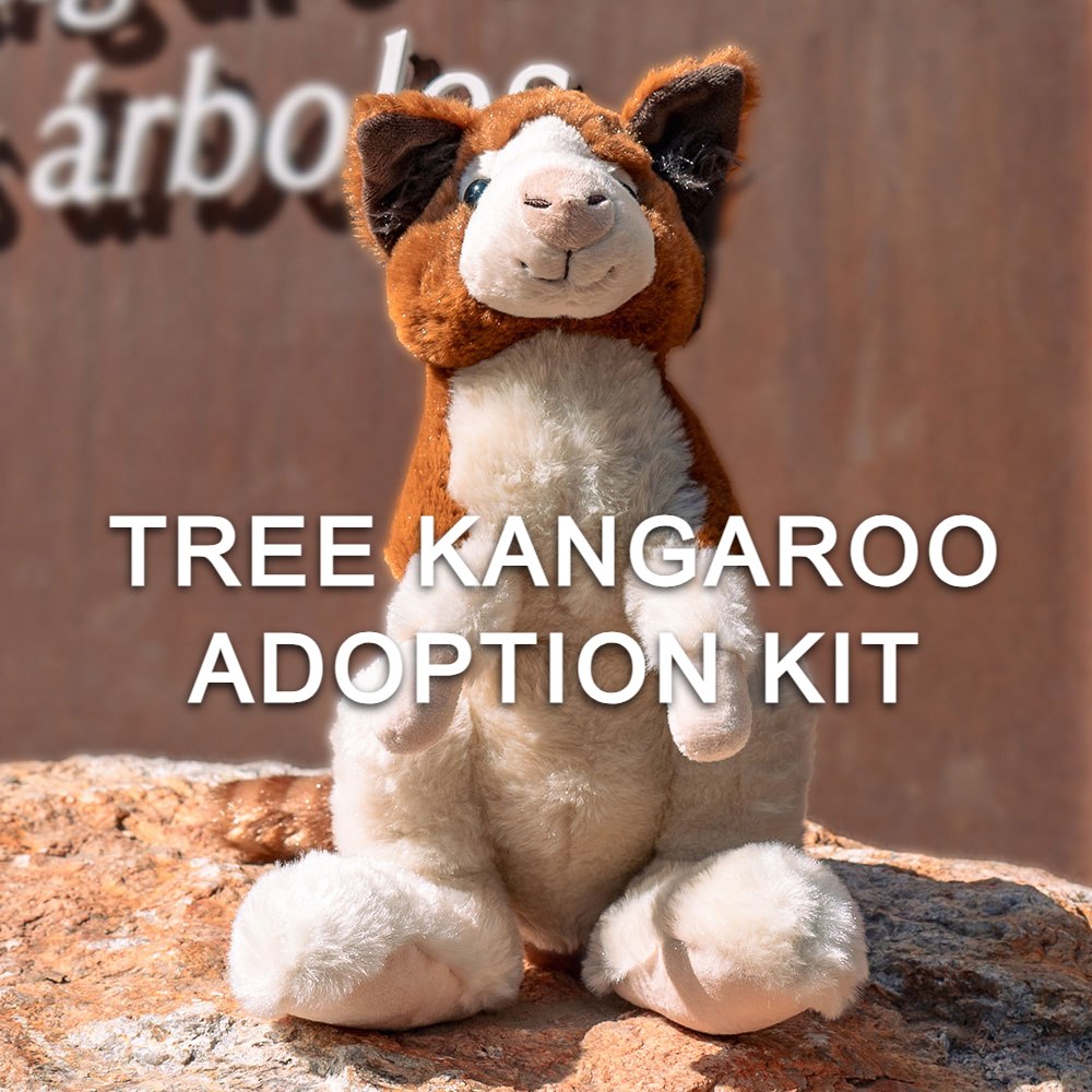 A plush tree kangaroo toy sits on a rock, with the overlaid text: TREE KANGAROO ADOPTION KIT—protect endangered Huon tree kangaroos with your Tree Kangaroo Adoption Kit.