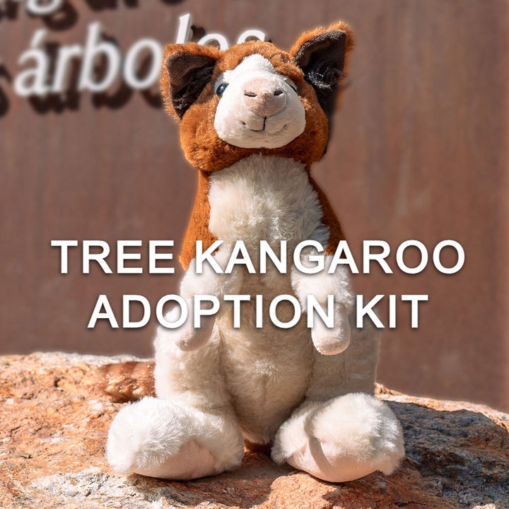 A plush tree kangaroo toy sits on a rock, with the overlaid text: TREE KANGAROO ADOPTION KIT—protect endangered Huon tree kangaroos with your Tree Kangaroo Adoption Kit.