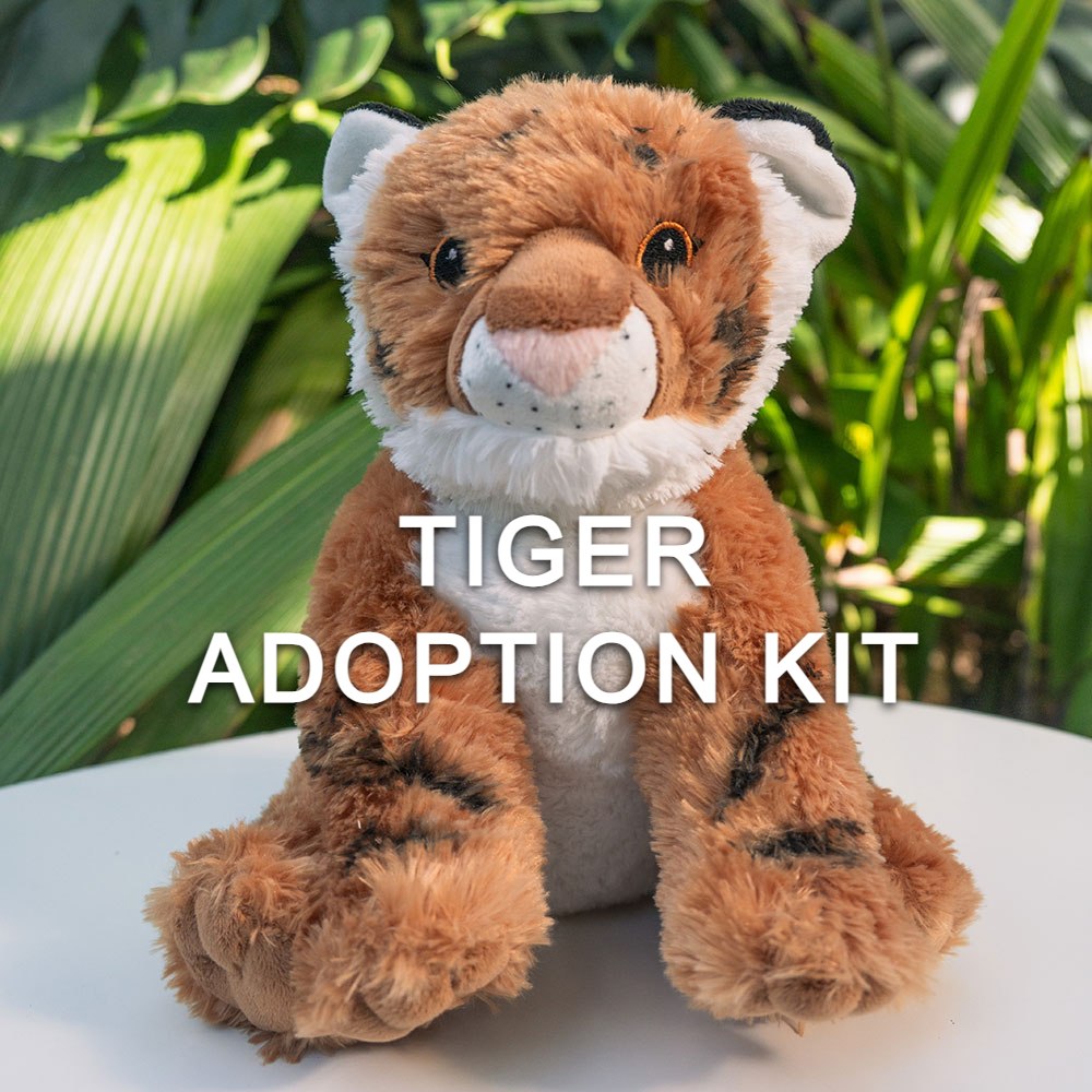 A plush tiger toy rests on a white surface with green plants behind it. Bold white text on the image says “Tiger Adoption Kit.” This cute kit celebrates the Denver Zoo’s commitment to wildlife conservation.